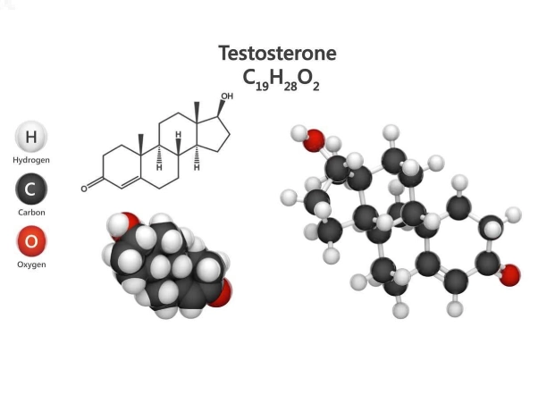 Low Testosterone Treatment